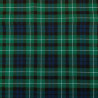 Tartan LEE Green / Navy Blue